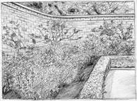 English Garden Sketch (Pencil)